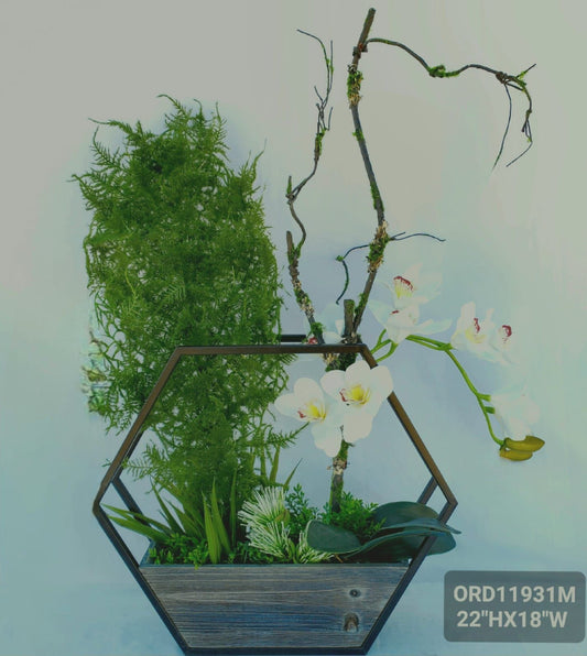 White Orchid, Geometric Vase