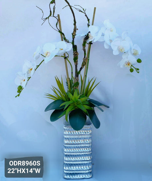 White Orchids, Silver Textured Vase