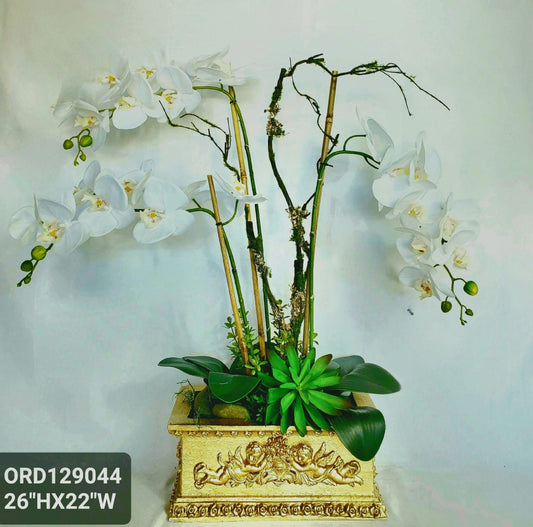 White Orchids, Gold Vase