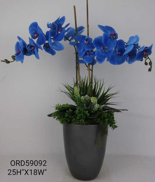 Blue Orchid Fiber Glass