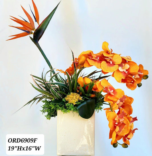 Orange Orchids & Bird of Paradise in a White Vase