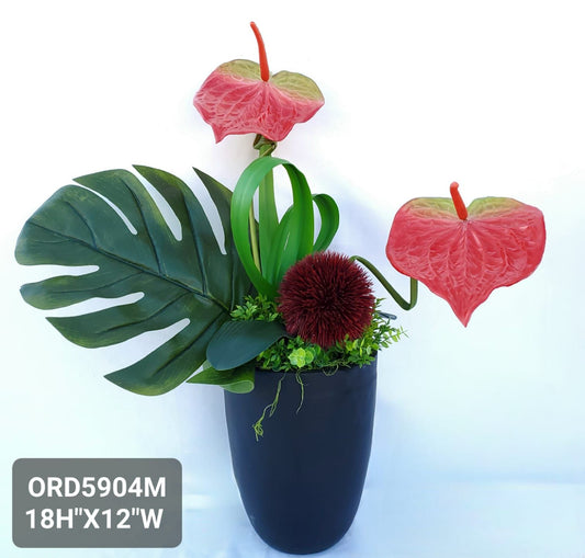 Red Anthuriums, Black Vase