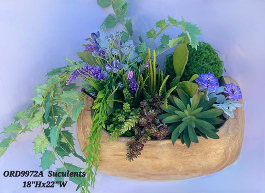 Succulents, Wooden Oval Vase