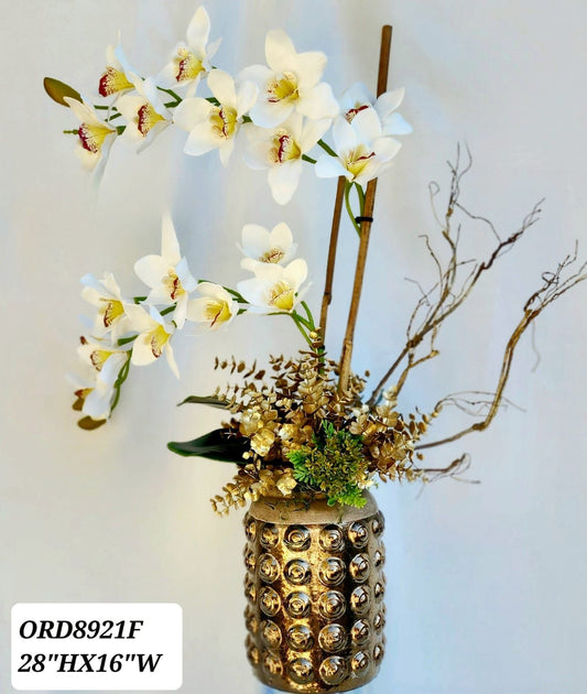 White Boat Orchid, Gold Vase