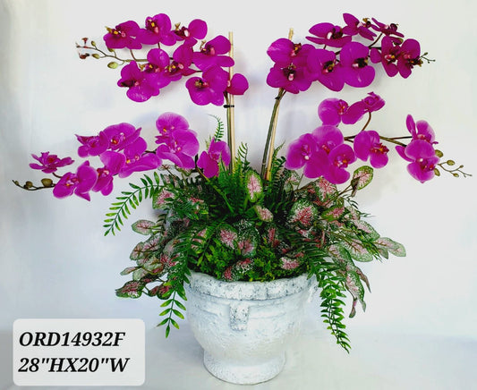 Fuchsia Orchids, Cement Vase