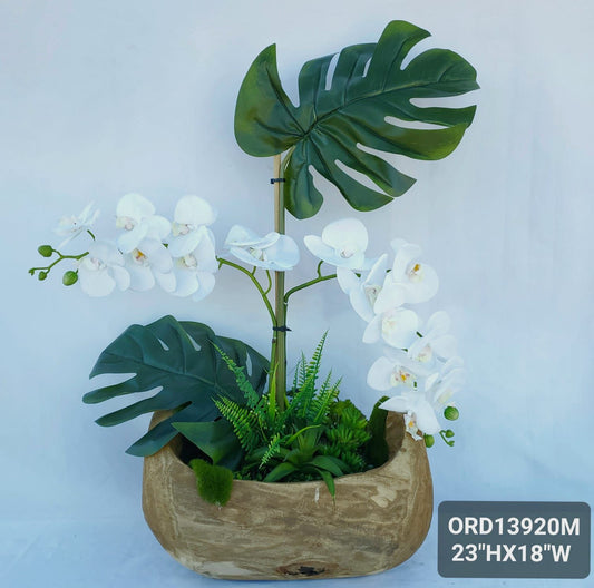 Wooden Boat Vase, White Orchids