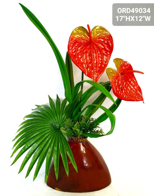 Tropical, Red Anthurium, Terracotta Vase