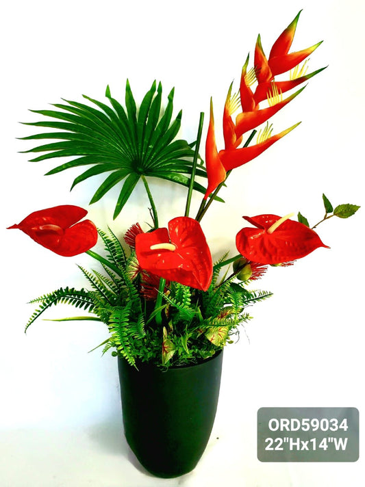 Red Tropical, Black Vase