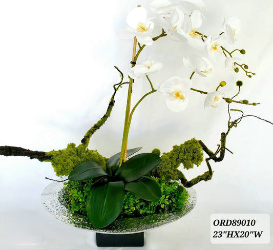White Orchid, Silver Plate
