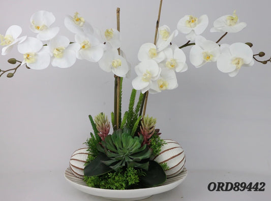 White Orchids, White Plate