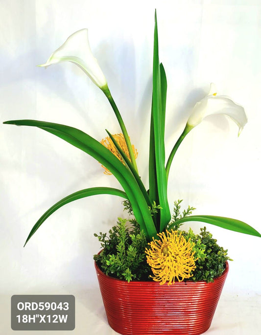 Arum-Lily, Red Vase