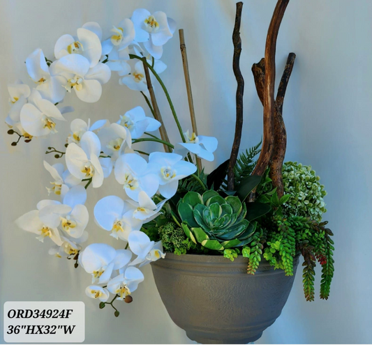 White Orchid & Succullent