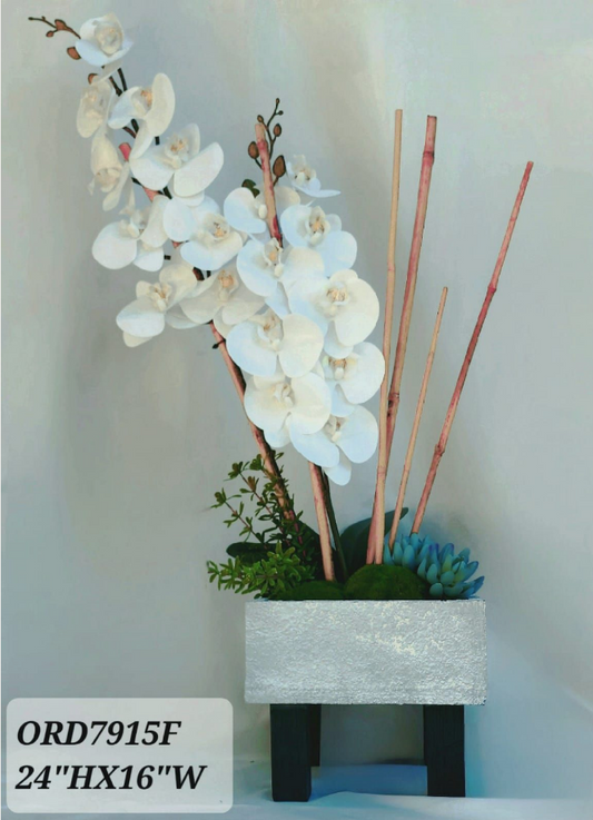White Orchid Grey Vase