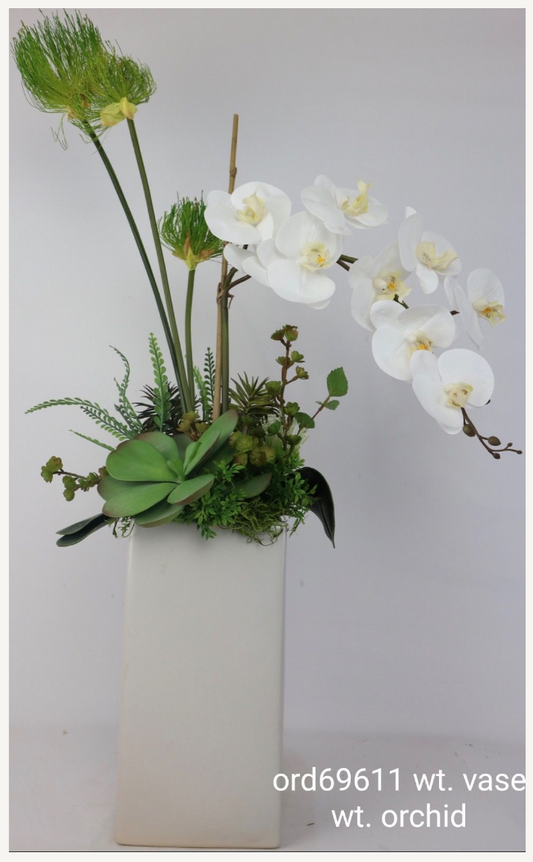 White Orchids, White Vase