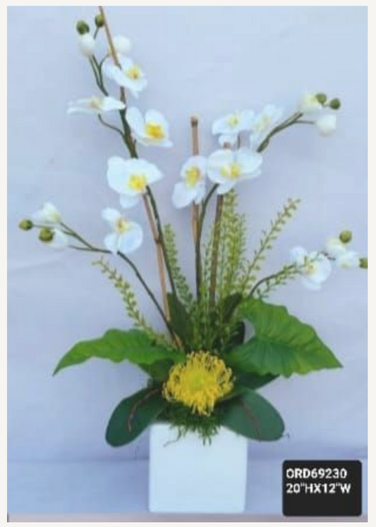 White Orchid, White Squared Vase