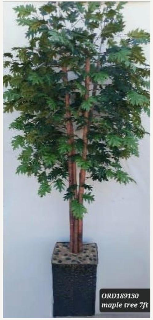 7ft Maple Tree with Black Vase