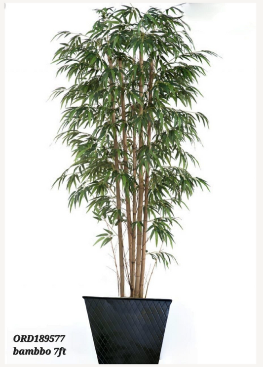 Bamboo, Black Vase