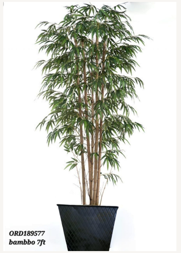 Bamboo, Black Vase