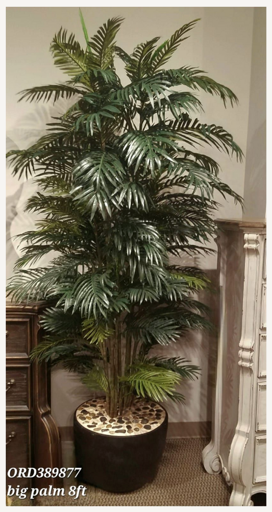 Big Palm Tree, Black Vase
